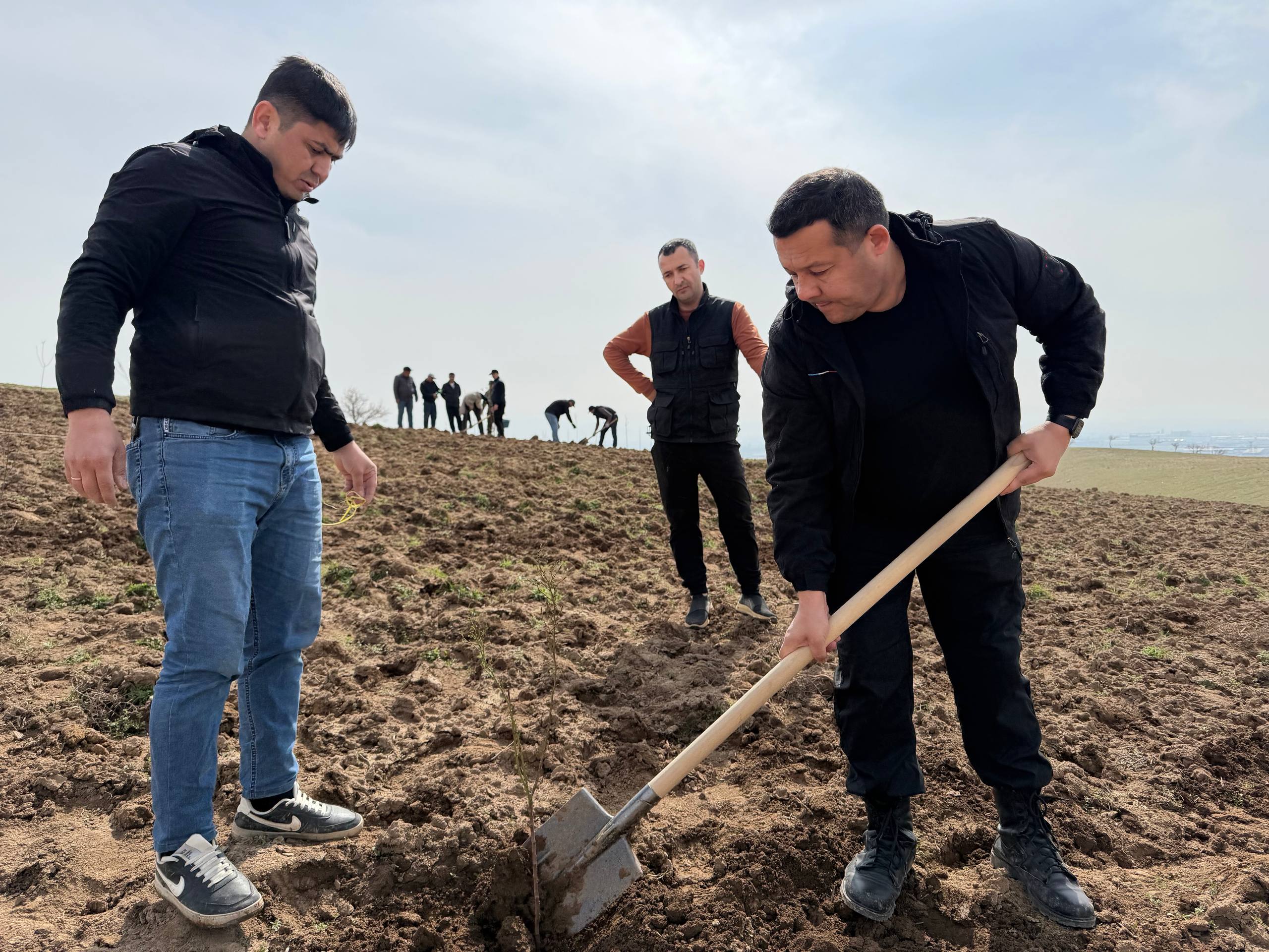 Hashar-obodonlik va birdamlik timsoli