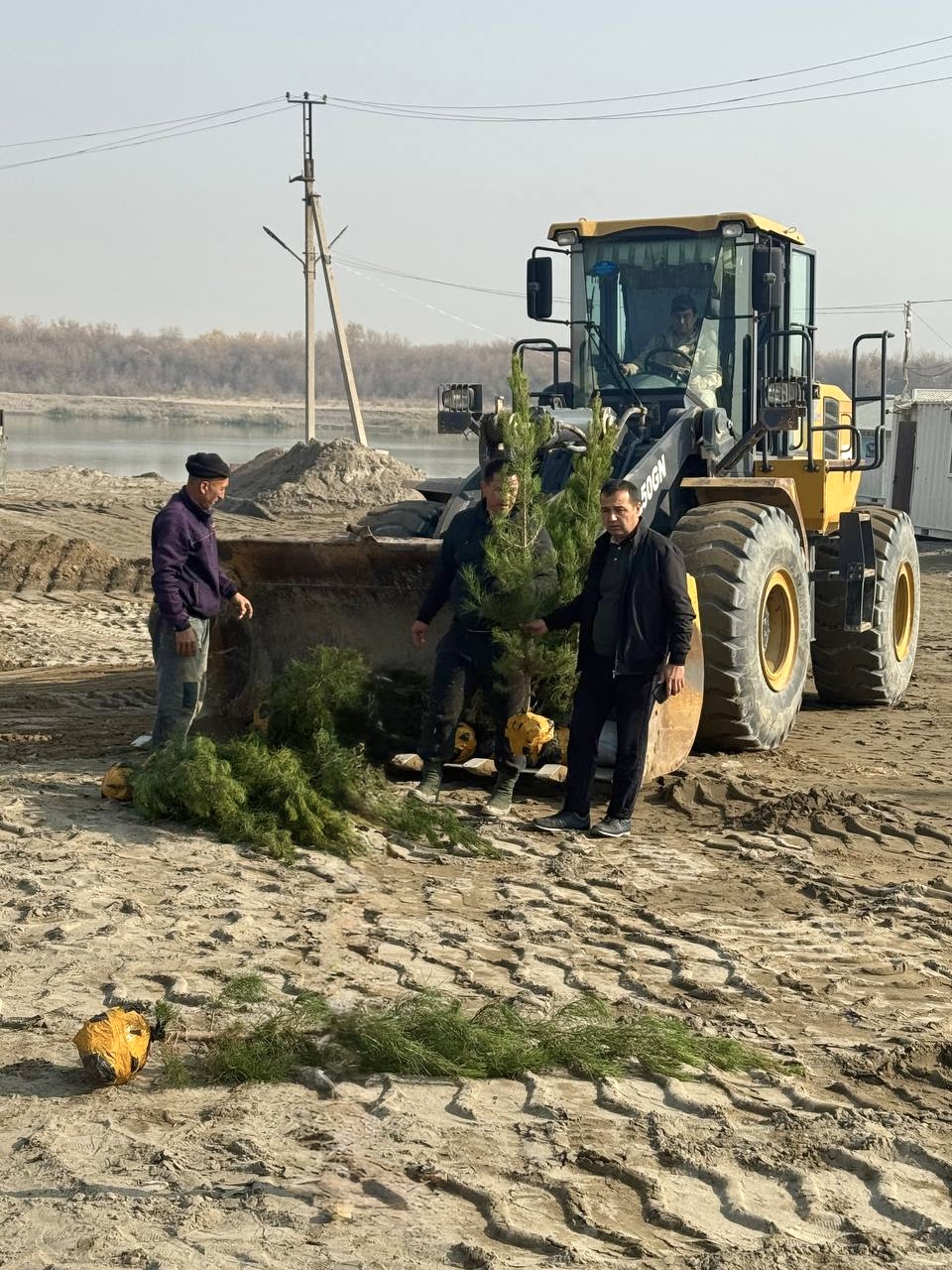  Hududlarda “Yashil makon” umummilliy loyihasi doirasida daraxt ekish tadbirlari davom etmoqda 